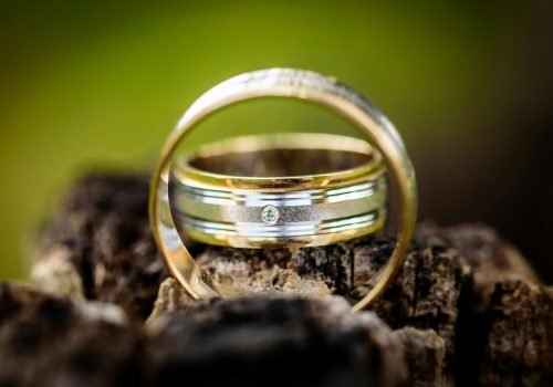 pexels-goran-vrakela-64248-230289